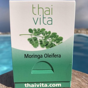 Moringa Oleifera 270 Stück Sondergröße