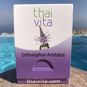 Orthosiphon Aristatus